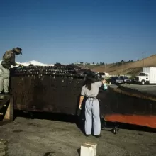 Titanic Album #2 1996